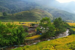 Tái Tạo Năng Lượng Với Retreat Chữa Lành Cho Doanh Nghiệp 4 Dia diem to chuc retreat chua lanh cho doanh nghiep