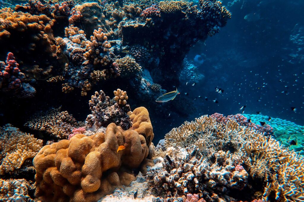 Du lịch bảo tồn biển cho doanh nghiệp ý nghĩa 3 Gia tri du lich bao ton bien cho doanh nghiep