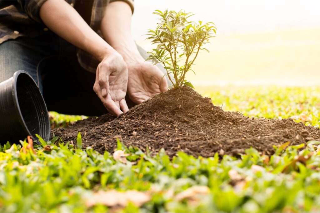 Hành Trình Xanh Cùng Du Lịch Trồng Rừng Cho Doanh Nghiệp 1 Gioi thieu ve du lich trong rung cho doanh nghiep