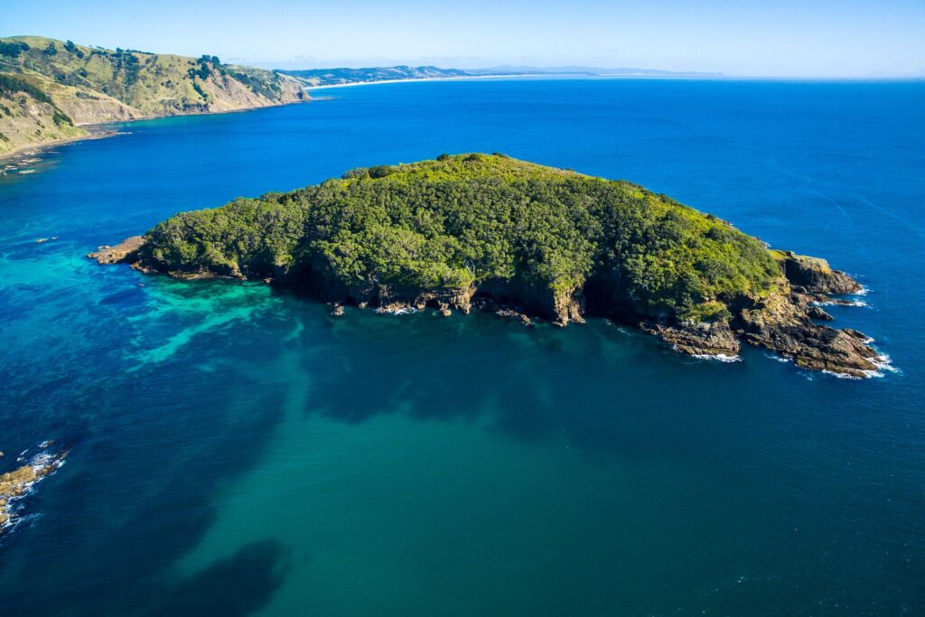 Du lịch bảo tồn biển cho doanh nghiệp ý nghĩa 2 Kham pha du lich bao ton bien cho doanh nghiep