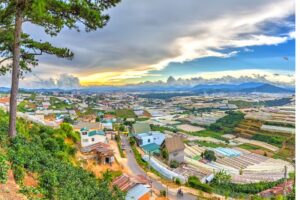 Cắm Trại Cao Cấp Glamping Doanh Nghiệp: Cắm Trại Sang Trọng & Tiện Nghi 4 cam trai cao cap glamping doanh nghiep 5