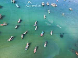 cau ca bien muc dem cho cong ty 6