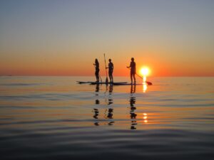 cheo sup cho cong ty 2