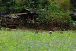 trekking nhe cho doanh nghiep 3.1