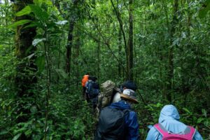 trekking nhe cho doanh nghiep 3.3