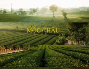 trekking nhe cho doanh nghiep 3.4 1