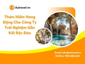 Tham Hiem Hang Dong Cho Cong Ty 4