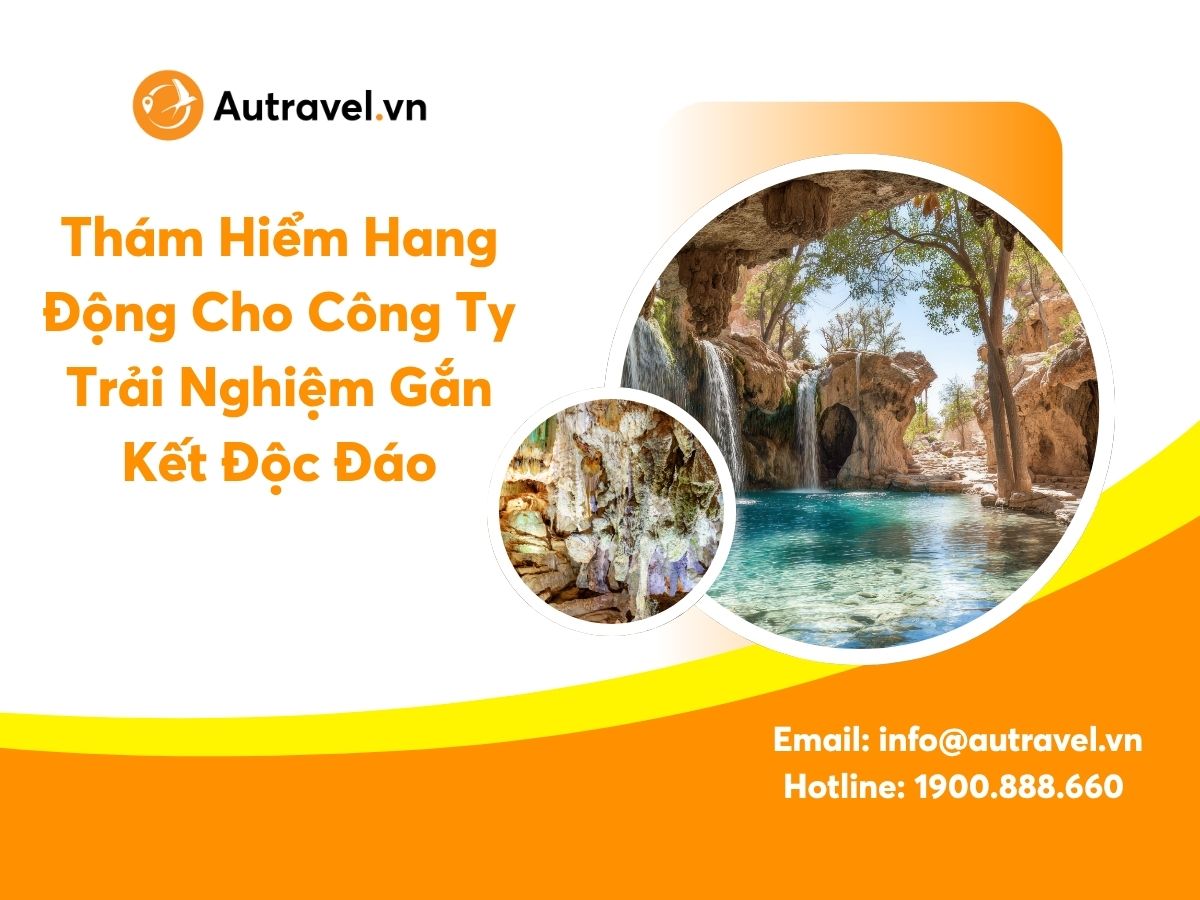 Tham Hiem Hang Dong Cho Cong Ty 4