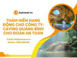 tham hiem hang dong cho cong ty 2