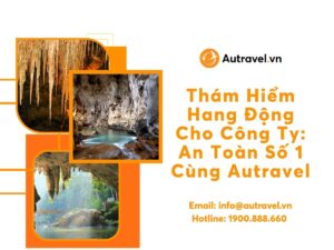 tham hiem hang dong cho cong ty 3